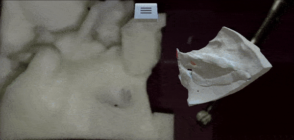ElChemaly_2024.gif